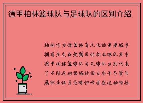 德甲柏林篮球队与足球队的区别介绍