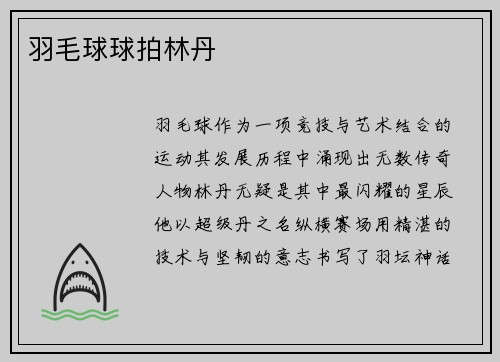 羽毛球球拍林丹
